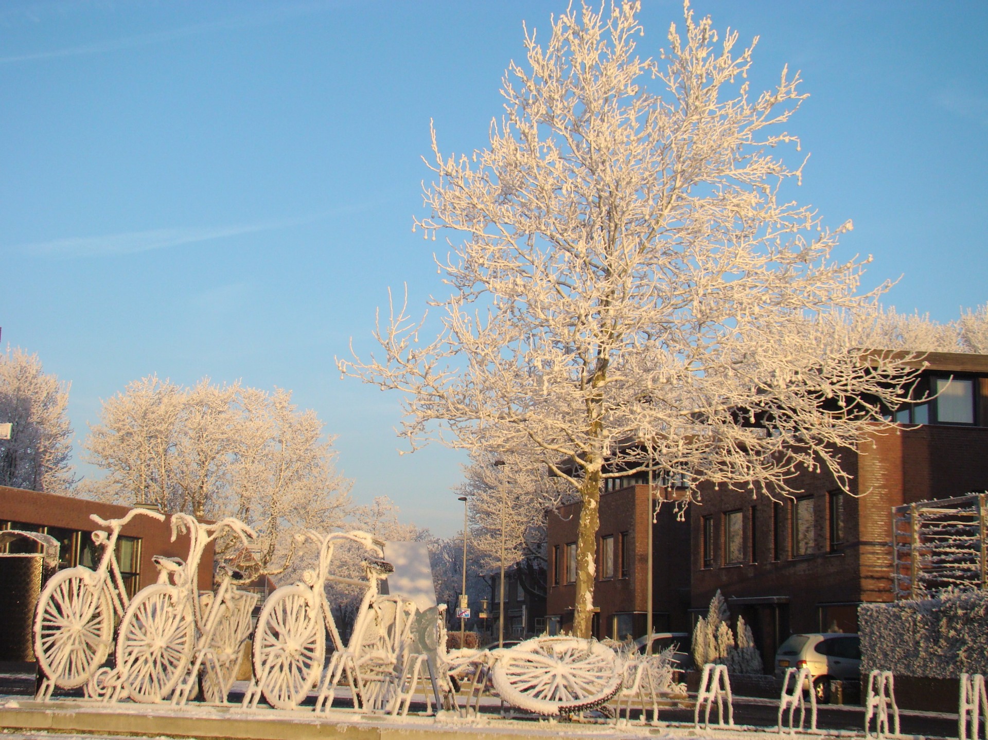 Foto van besneeuwde fietsen met op de achtergrond een besneeuwde boom en een bakstenen gebouw. Blauwe lucht.